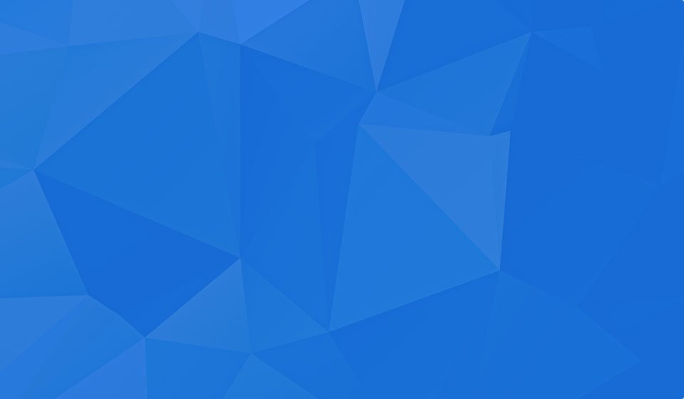 Truong Dinh Holdings Co. Ltd