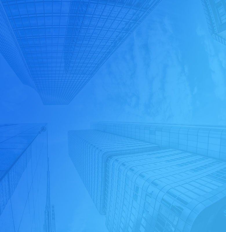 Truong Dinh Holdings Co. Ltd