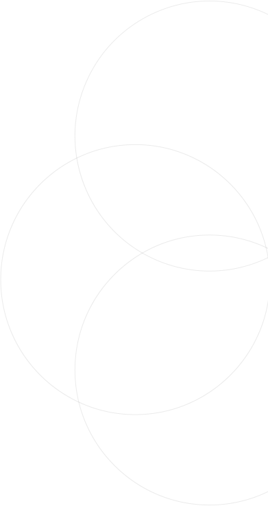 Truong Dinh Holdings Co. Ltd