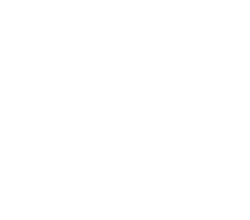 Truong Dinh Holdings Co. Ltd