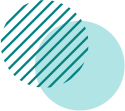 Truong Dinh Holdings Co. Ltd