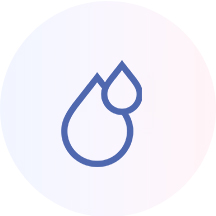 Truong Dinh Holdings Co. Ltd