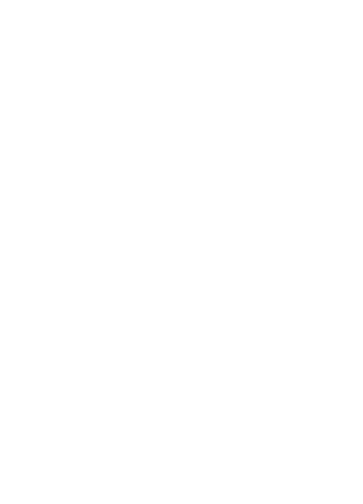 Truong Dinh Holdings Co. Ltd