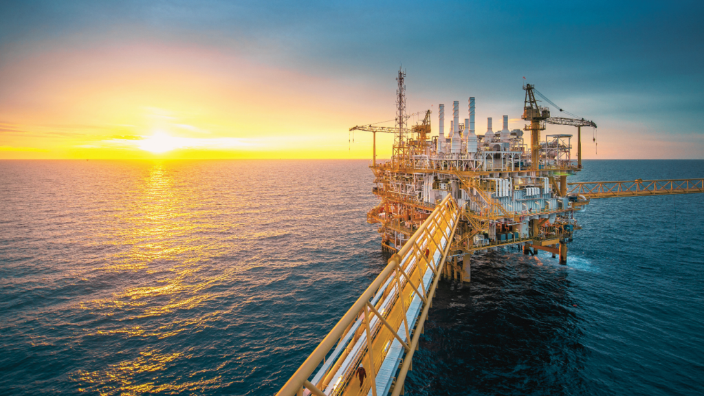 Truong Dinh Holdings Co. Ltd