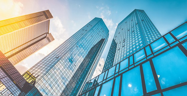 Truong Dinh Holdings Co. Ltd