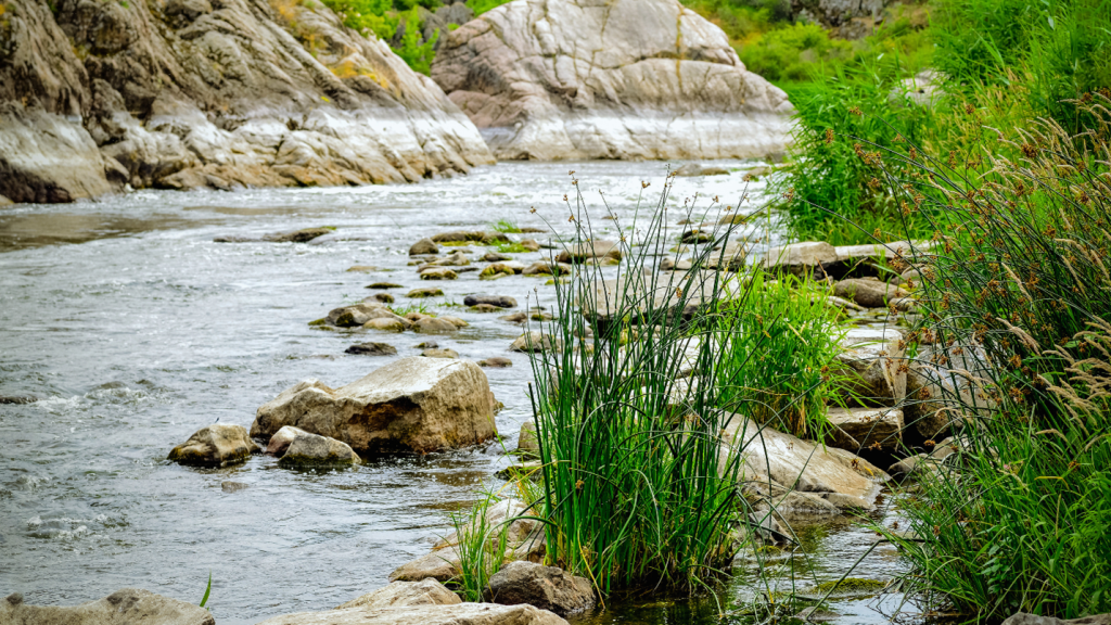 Truong Dinh Holdings Co. Ltd