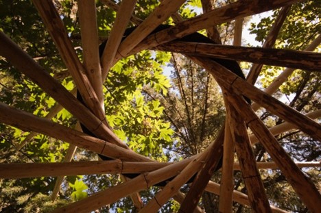 Truong Dinh Holdings Co. Ltd