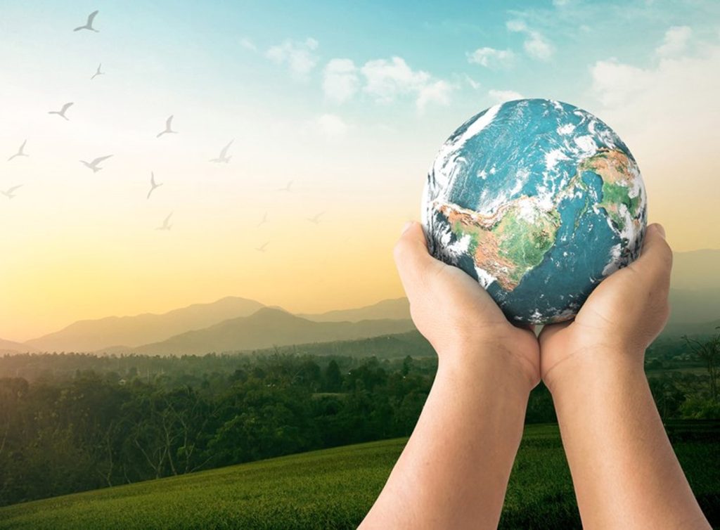 Truong Dinh Holdings Co. Ltd