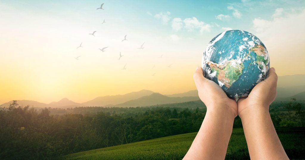 Truong Dinh Holdings Co. Ltd