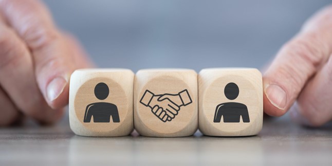 Truong Dinh Holdings Co. Ltd