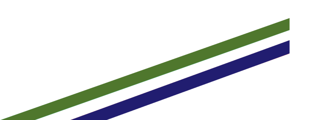 Truong Dinh Holdings Co. Ltd