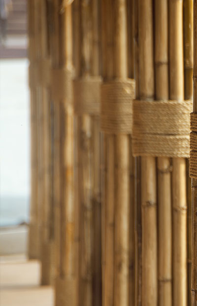 Truong Dinh Holdings Co. Ltd