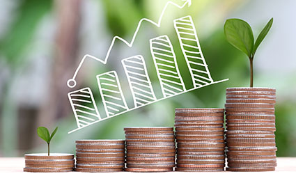 Truong Dinh Holdings Co. Ltd