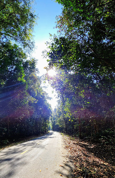 Truong Dinh Holdings Co. Ltd