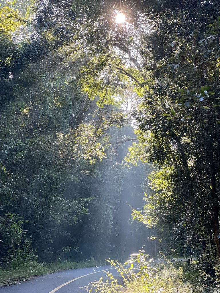 Truong Dinh Holdings Co. Ltd