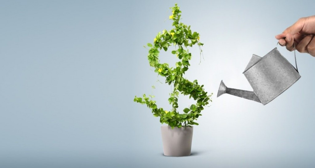 Truong Dinh Holdings Co. Ltd