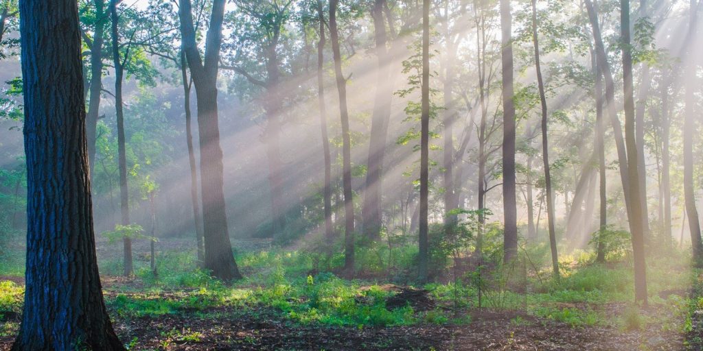 Truong Dinh Holdings Co. Ltd