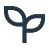 Truong Dinh Holdings Co. Ltd